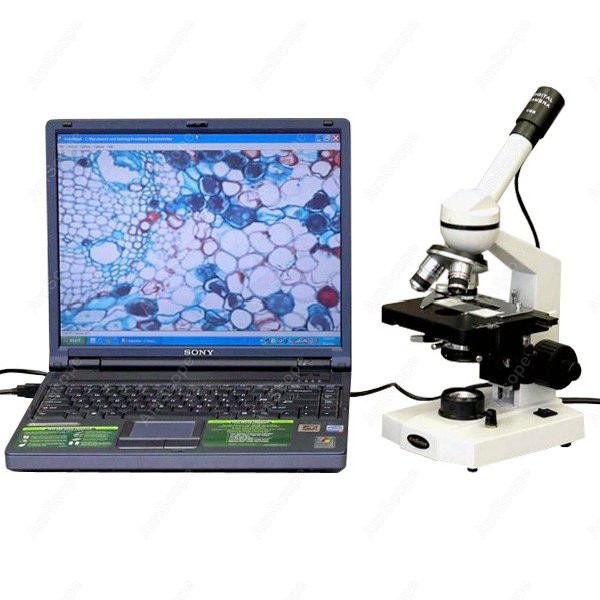 Microscope Compound 40X - Microscope composé monoculaire pour étudiants AmScope