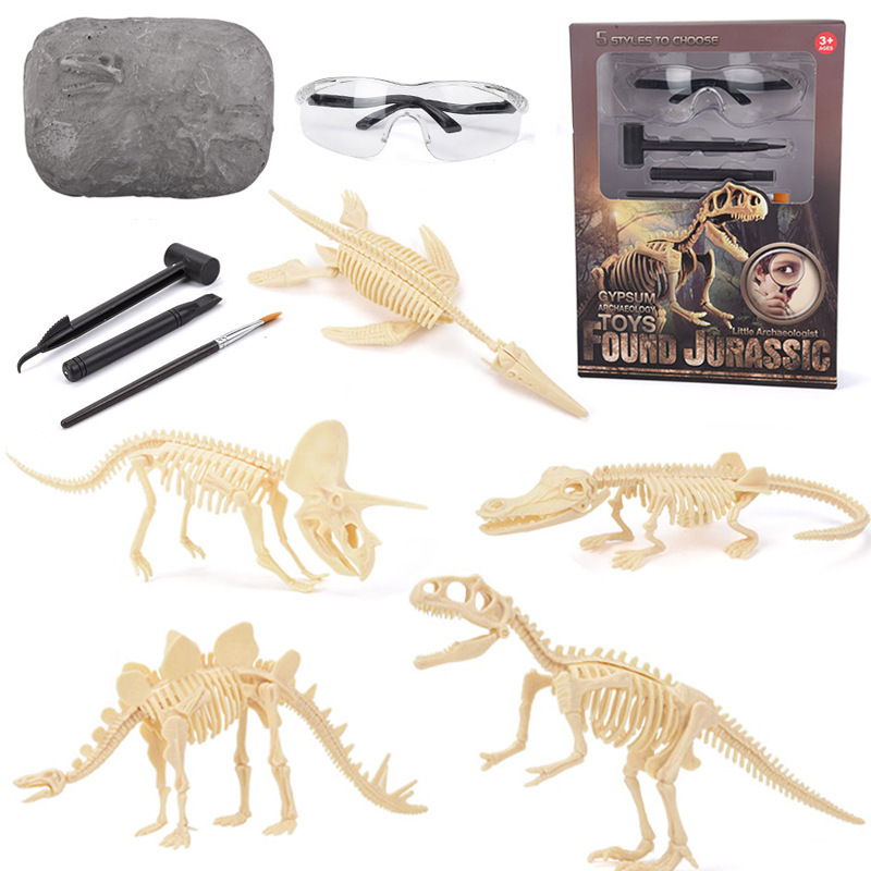 Kit d'excavation de fossiles d - Science Toys avis et prix